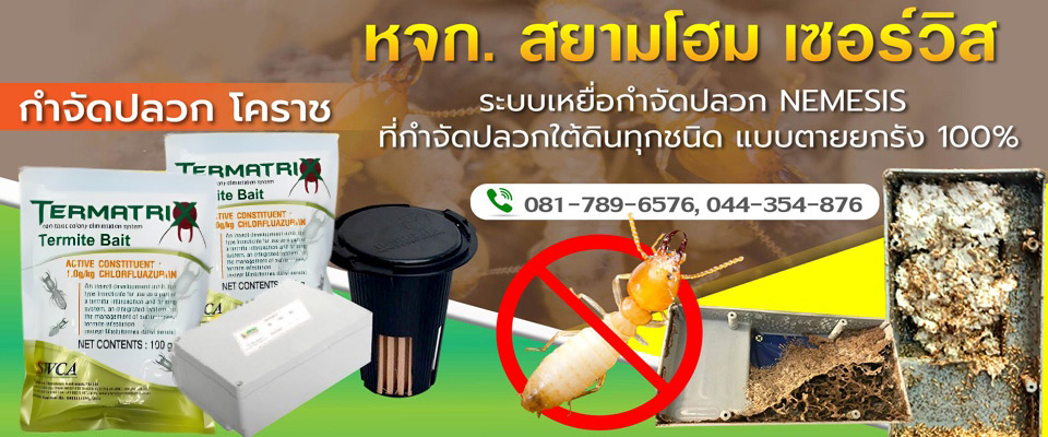 บริษัทกำจัดปลวกโคราชระบบเหยื่อ ระบบท่อ สยามโฮมเซอร์วิส